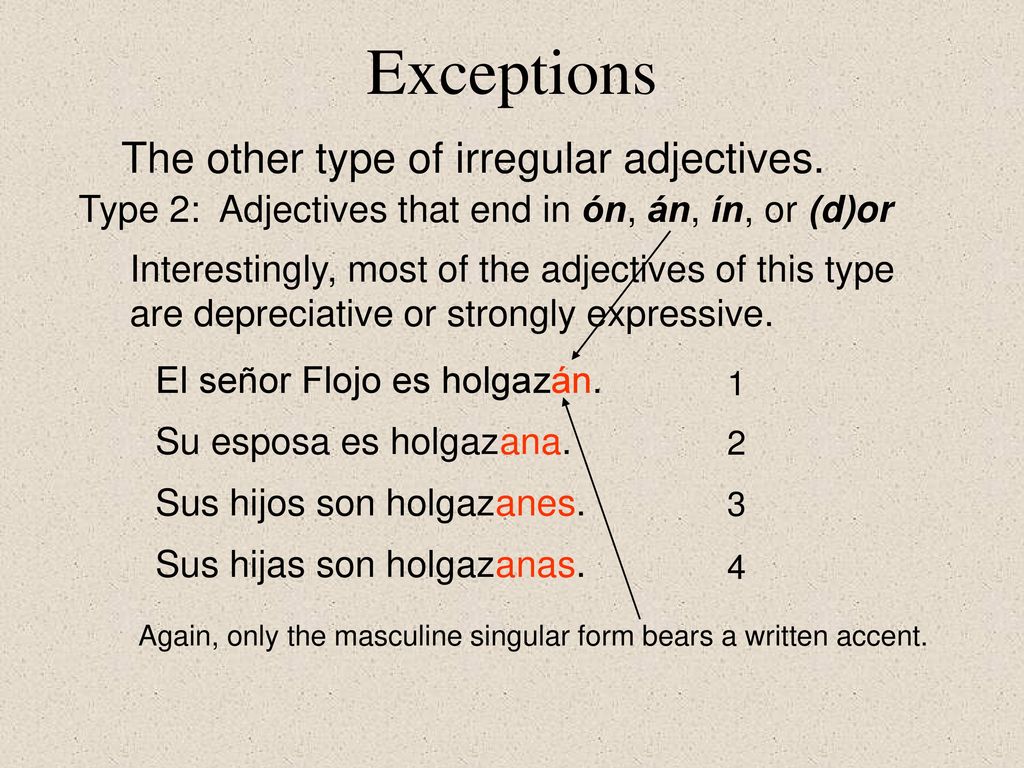 Exceptions The other type of irregular adjectives.
