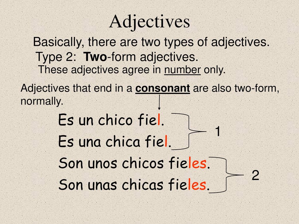 Adjectives Es un chico fiel. Es una chica fiel.