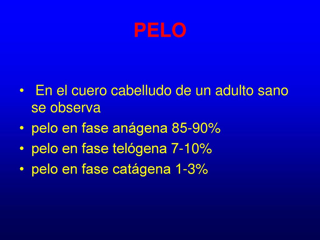 PELO En el cuero cabelludo de un adulto sano se observa
