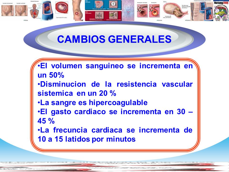 Diagram CAMBIOS GENERALES El volumen sanguineo se incrementa en un 50%