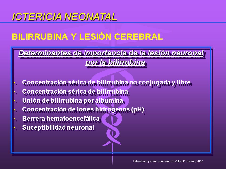 Determinantes de importancia de la lesión neuronal por la bilirrubina