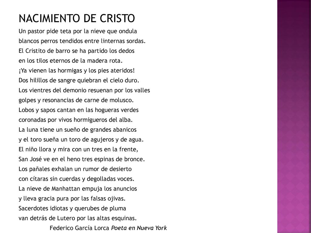 NACIMIENTO DE CRISTO Un pastor pide teta por la nieve que ondula