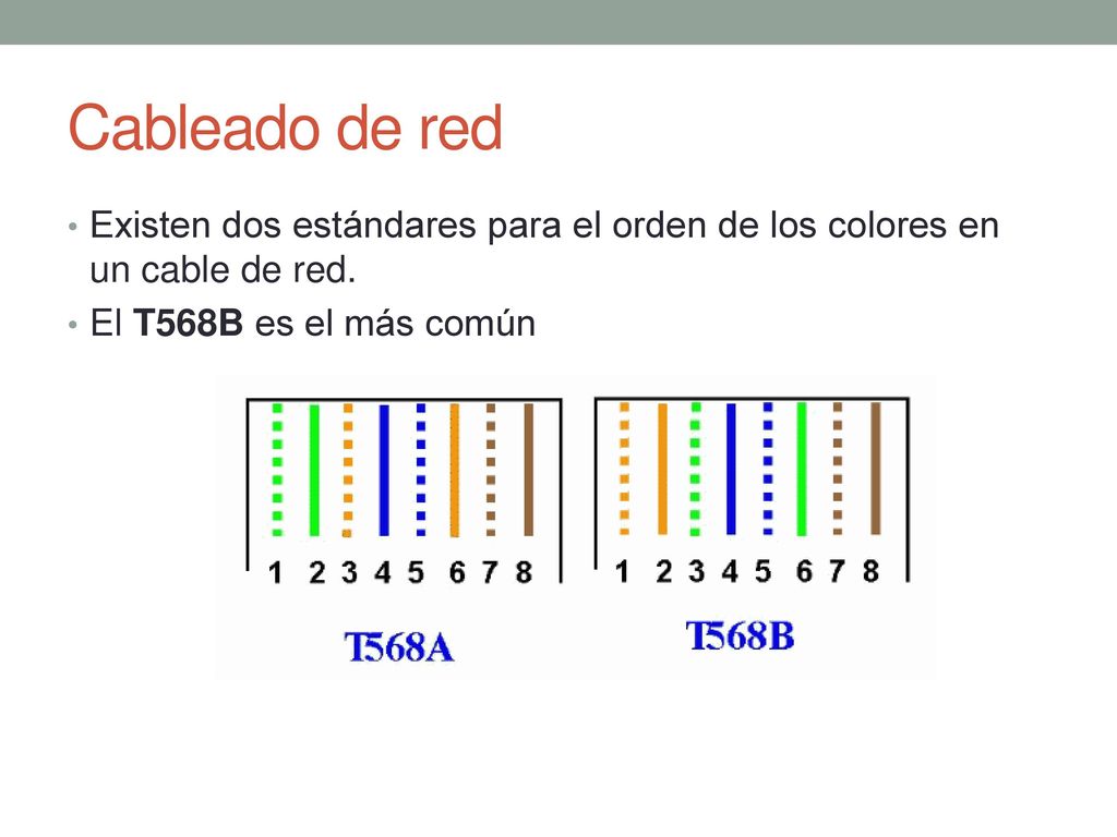 Cableado de red Existen dos estándares para el orden de los colores en un cable de red.