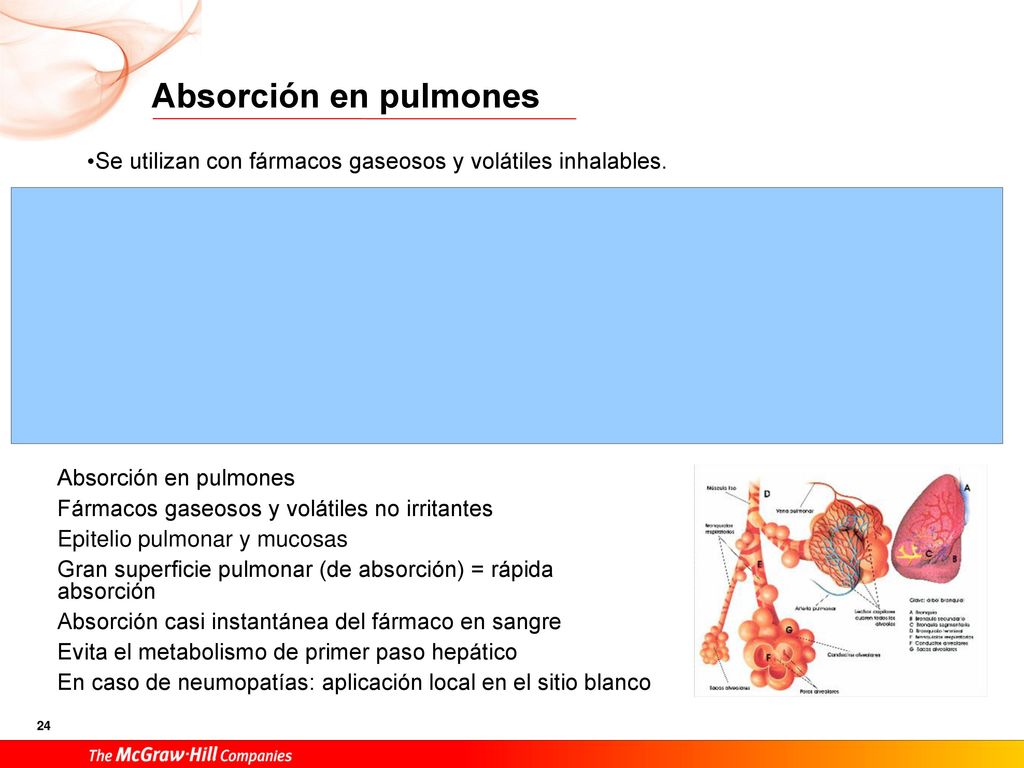 Absorción en pulmones Se utilizan con fármacos gaseosos y volátiles inhalables. Absorción en pulmones.