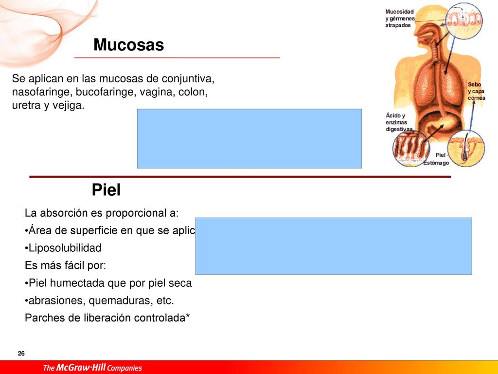 Mucosas Se aplican en las mucosas de conjuntiva, nasofaringe, bucofaringe, vagina, colon, uretra y vejiga.