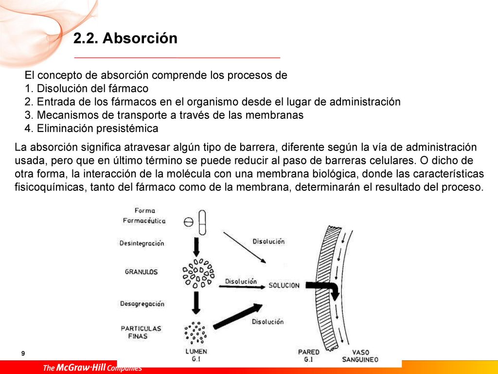 2.2. Absorción El concepto de absorción comprende los procesos de
