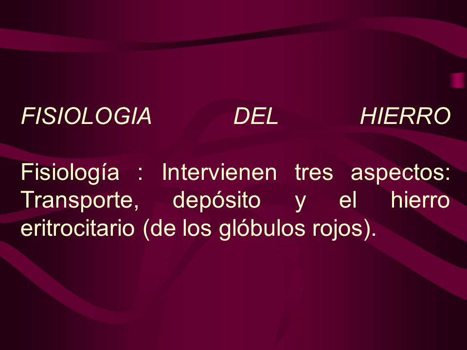 FISIOLOGIA DEL HIERRO Fisiología : Intervienen tres aspectos: Transporte, depósito y el hierro eritrocitario (de los glóbulos rojos).