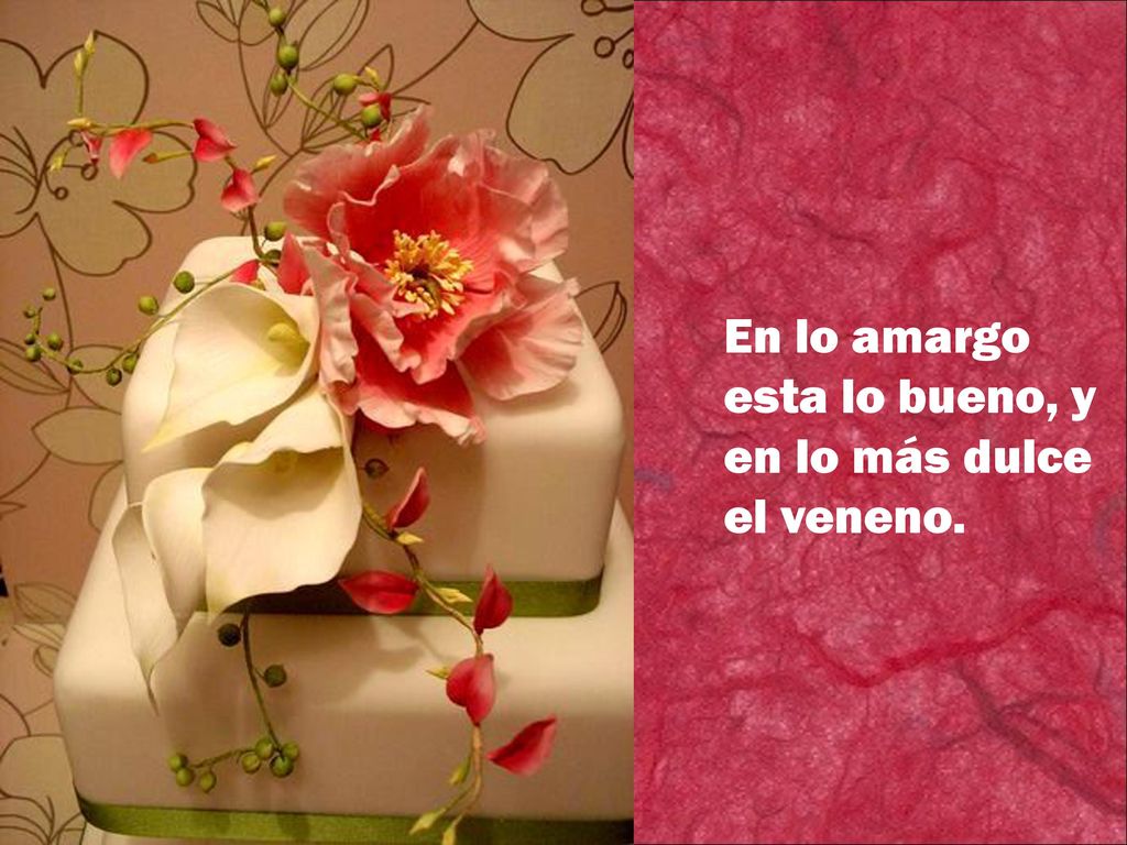 En lo amargo esta lo bueno, y en lo más dulce el veneno.