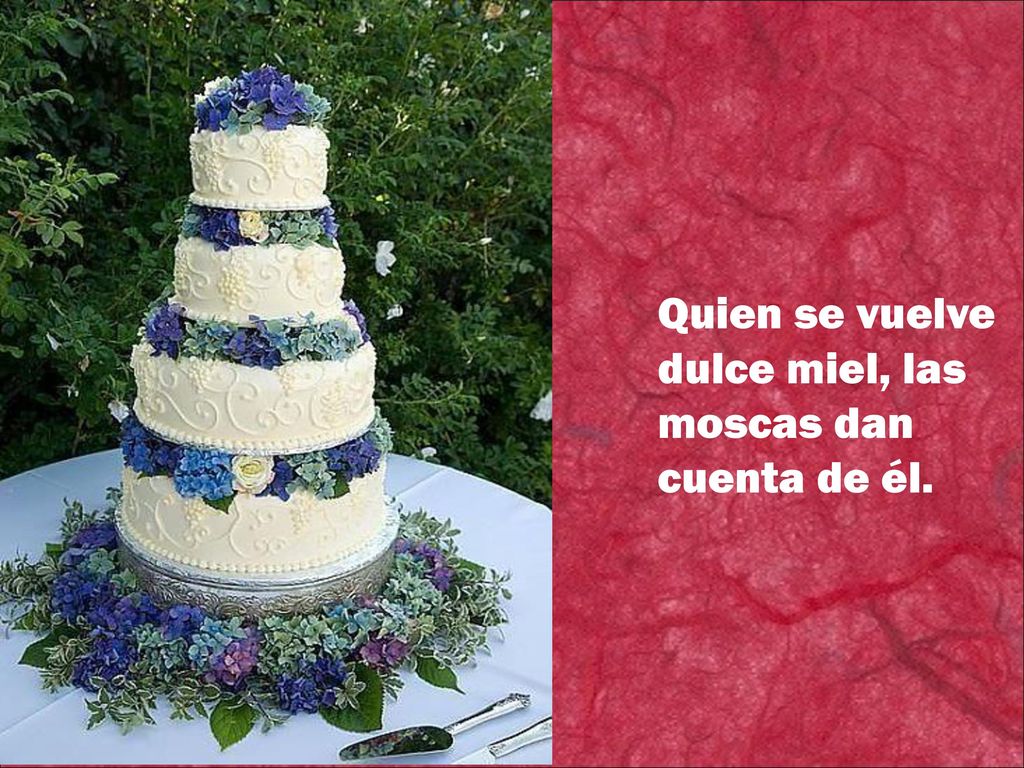 Quien se vuelve dulce miel, las moscas dan cuenta de él.