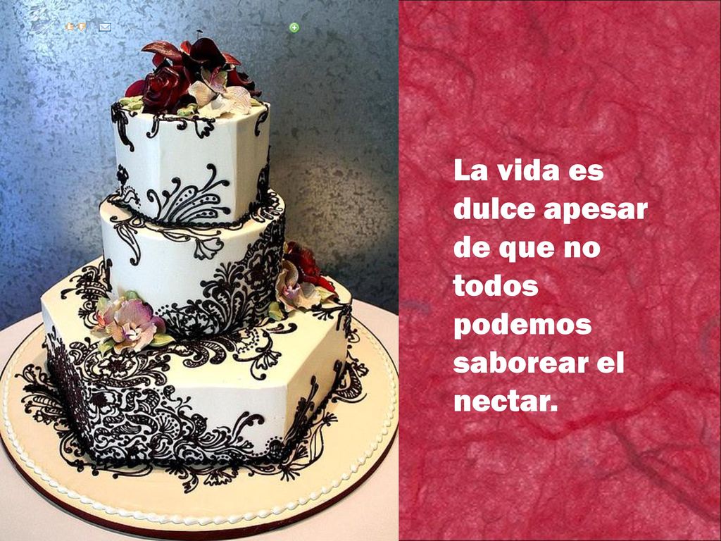 La vida es dulce apesar de que no todos podemos saborear el nectar.