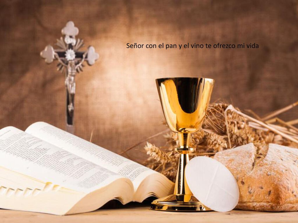 Señor con el pan y el vino te ofrezco mi vida