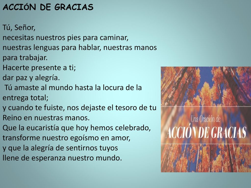 ACCIÓN DE GRACIAS Tú, Señor, necesitas nuestros pies para caminar, nuestras lenguas para hablar, nuestras manos para trabajar.