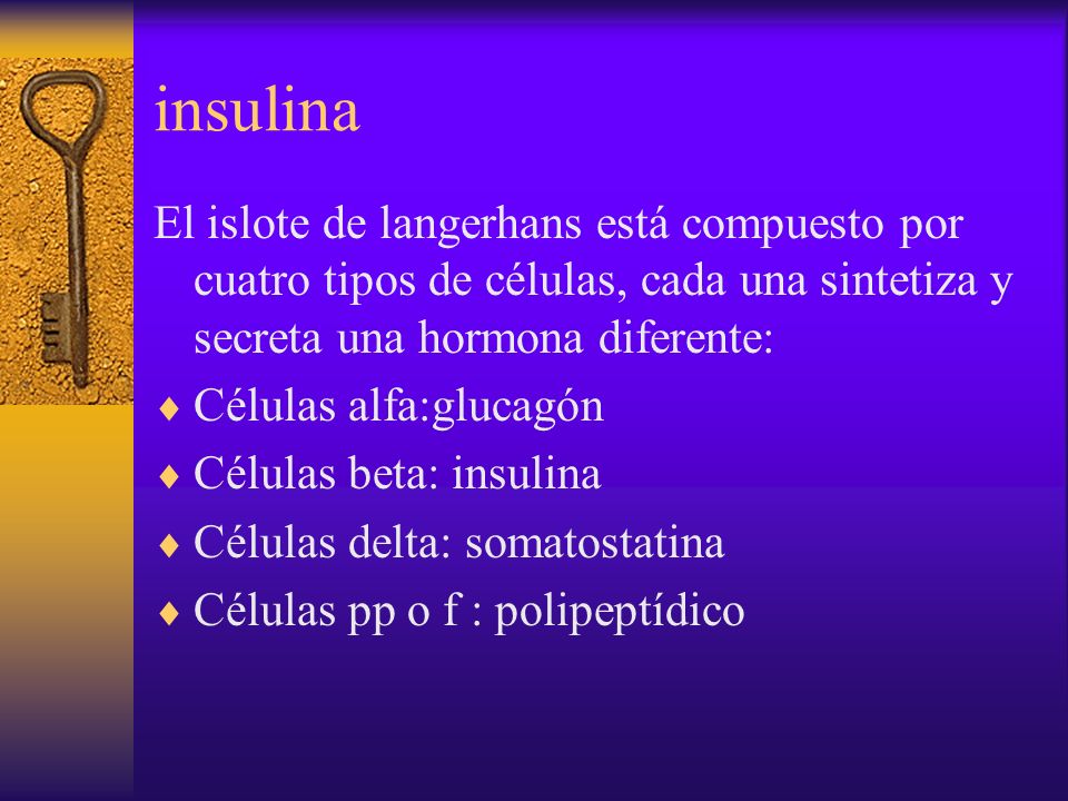 insulina El islote de langerhans está compuesto por cuatro tipos de células, cada una sintetiza y secreta una hormona diferente: