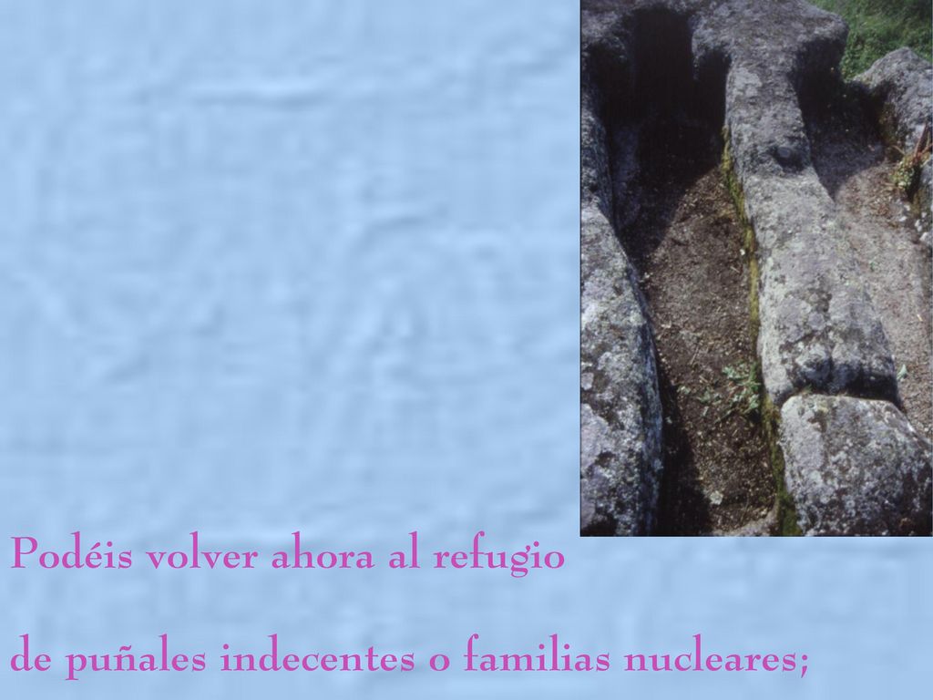 Podéis volver ahora al refugio de puñales indecentes o familias nucleares;