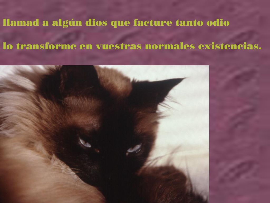llamad a algún dios que facture tanto odio lo transforme en vuestras normales existencias.