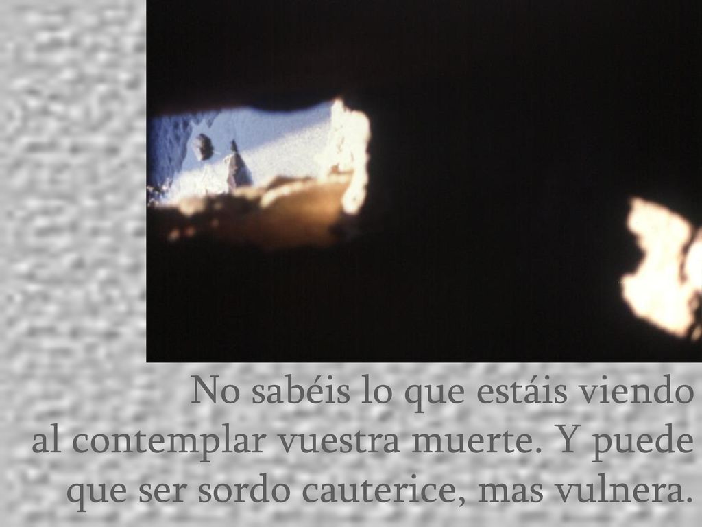 No sabéis lo que estáis viendo al contemplar vuestra muerte