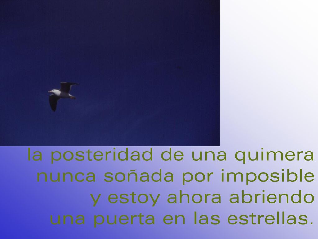la posteridad de una quimera nunca soñada por imposible y estoy ahora abriendo una puerta en las estrellas.