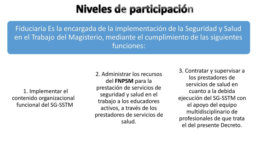 la encargada de la implementación de la Seguridad y Salud en el