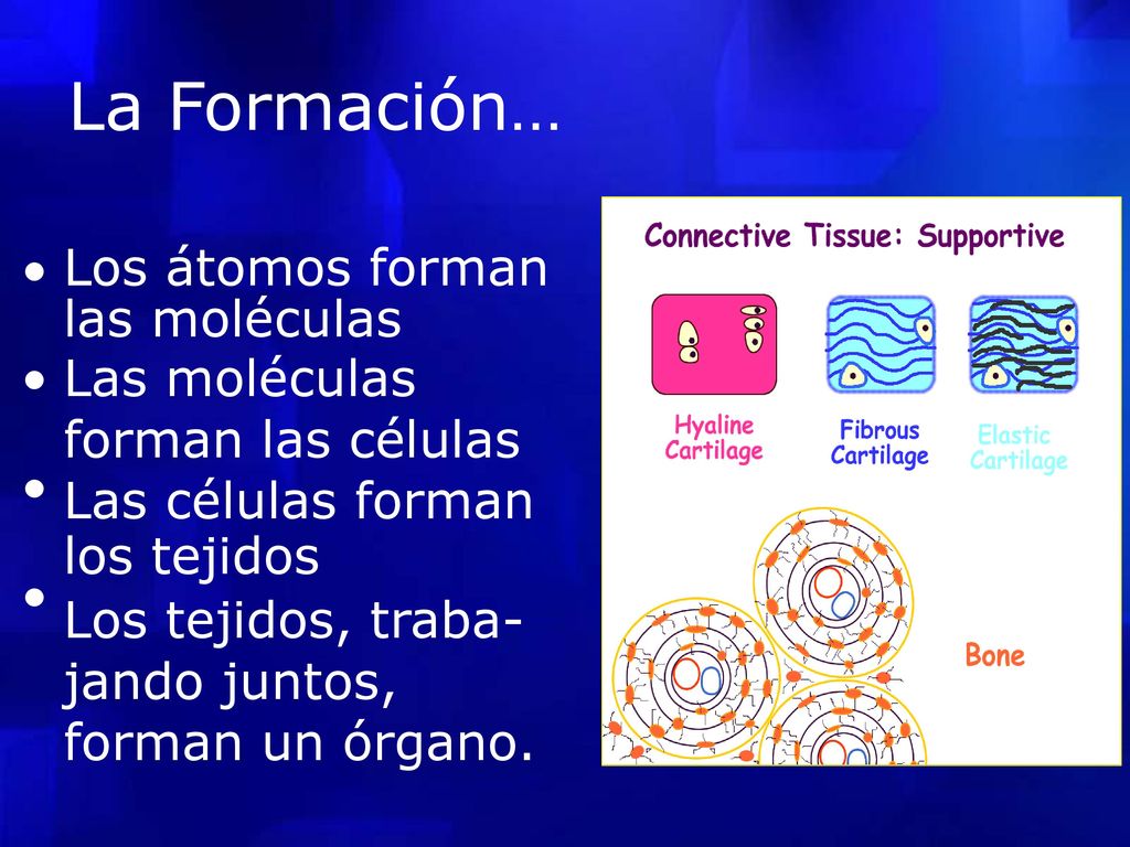 Los átomos forman La Formación… • las moléculas Las moléculas