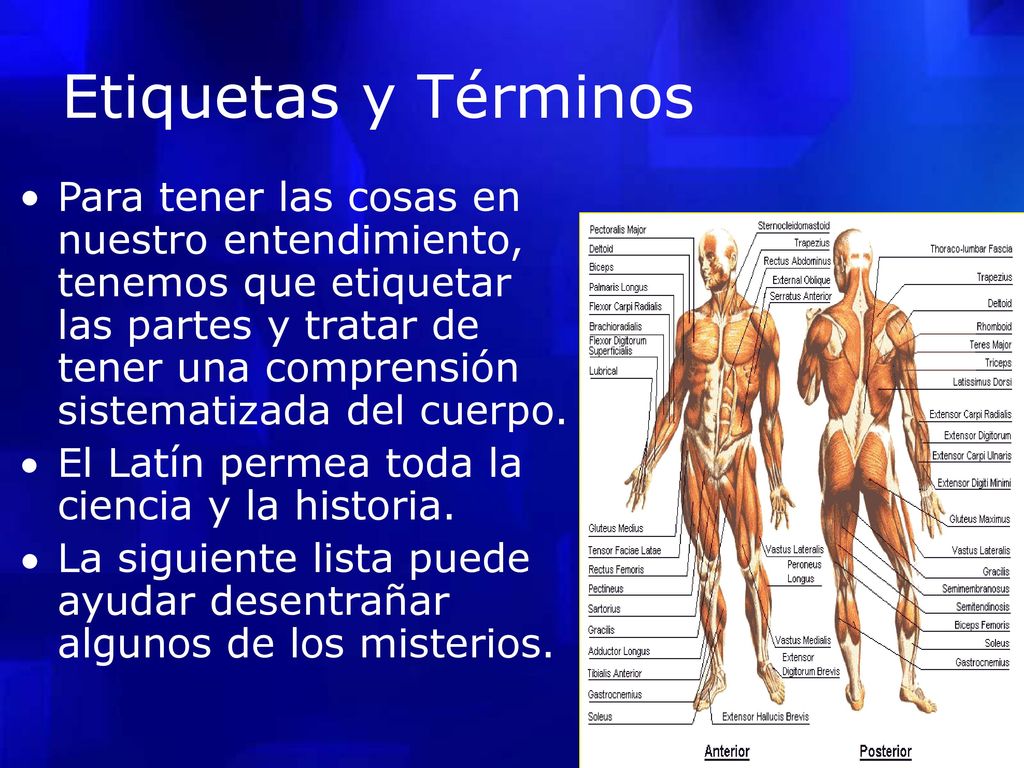 Etiquetas y Términos • Para tener las cosas en