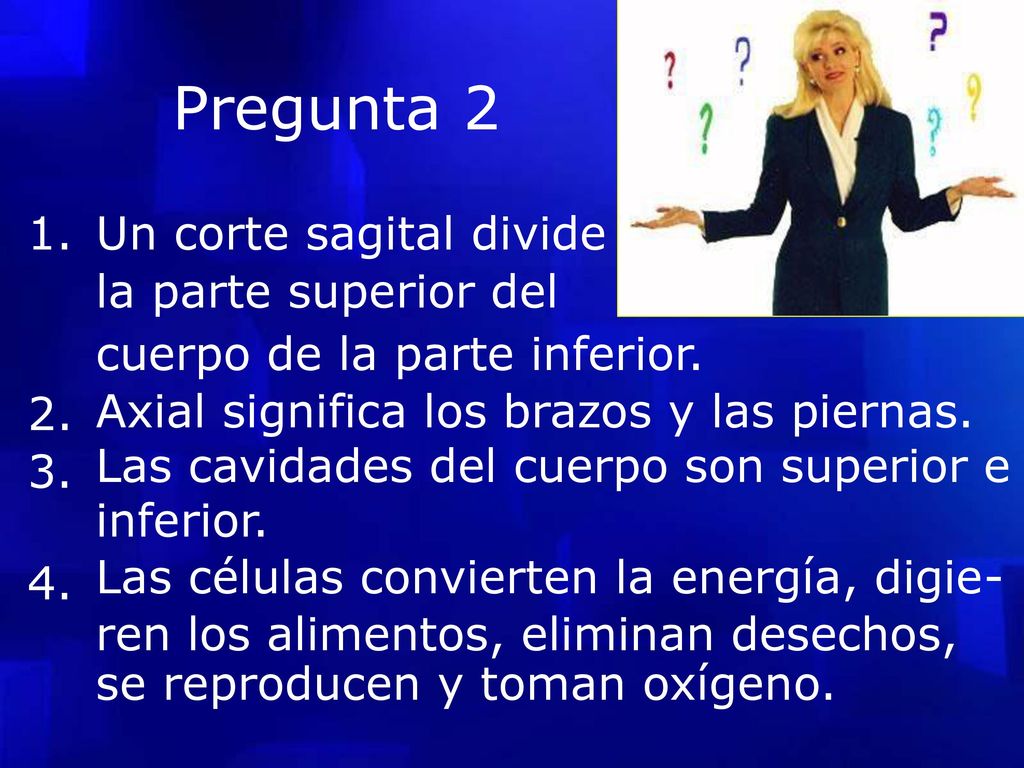 la parte superior del 3. Pregunta 2 1. Un corte sagital divide