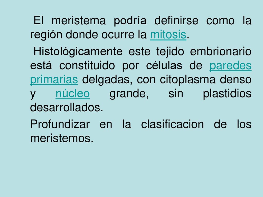 El meristema podría definirse como la región donde ocurre la mitosis.