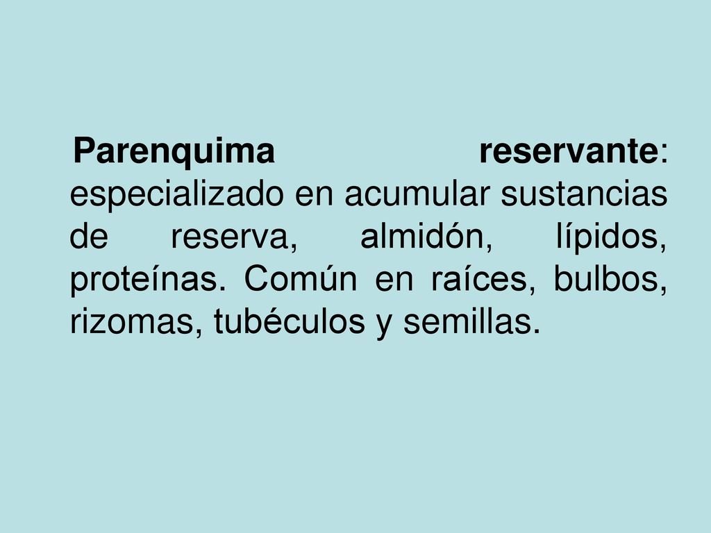 Parenquima reservante: especializado en acumular sustancias de reserva, almidón, lípidos, proteínas.