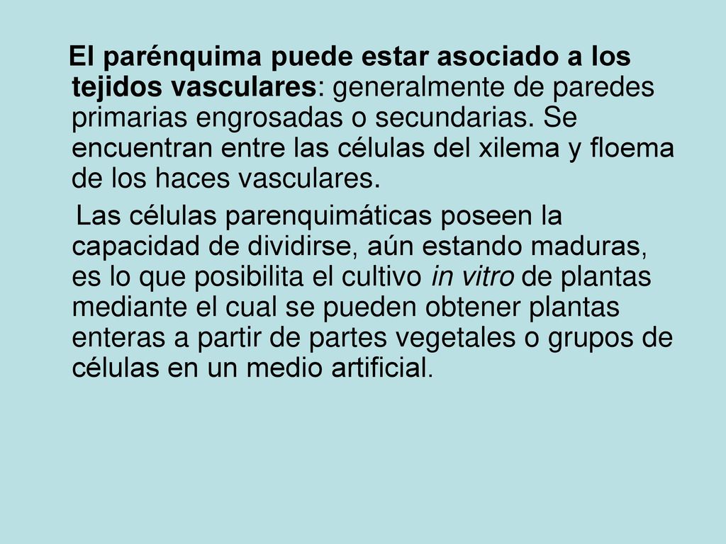 El parénquima puede estar asociado a los tejidos vasculares: generalmente de paredes primarias engrosadas o secundarias. Se encuentran entre las células del xilema y floema de los haces vasculares.