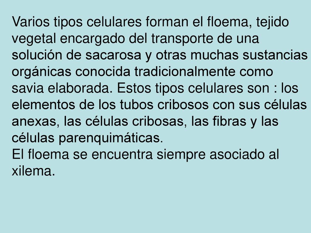 Varios tipos celulares forman el floema, tejido vegetal encargado del transporte de una solución de sacarosa y otras muchas sustancias orgánicas conocida tradicionalmente como savia elaborada. Estos tipos celulares son : los elementos de los tubos cribosos con sus células anexas, las células cribosas, las fibras y las células parenquimáticas.