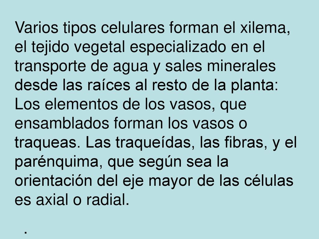 Varios tipos celulares forman el xilema, el tejido vegetal especializado en el transporte de agua y sales minerales desde las raíces al resto de la planta: Los elementos de los vasos, que ensamblados forman los vasos o traqueas. Las traqueídas, las fibras, y el parénquima, que según sea la orientación del eje mayor de las células es axial o radial.
