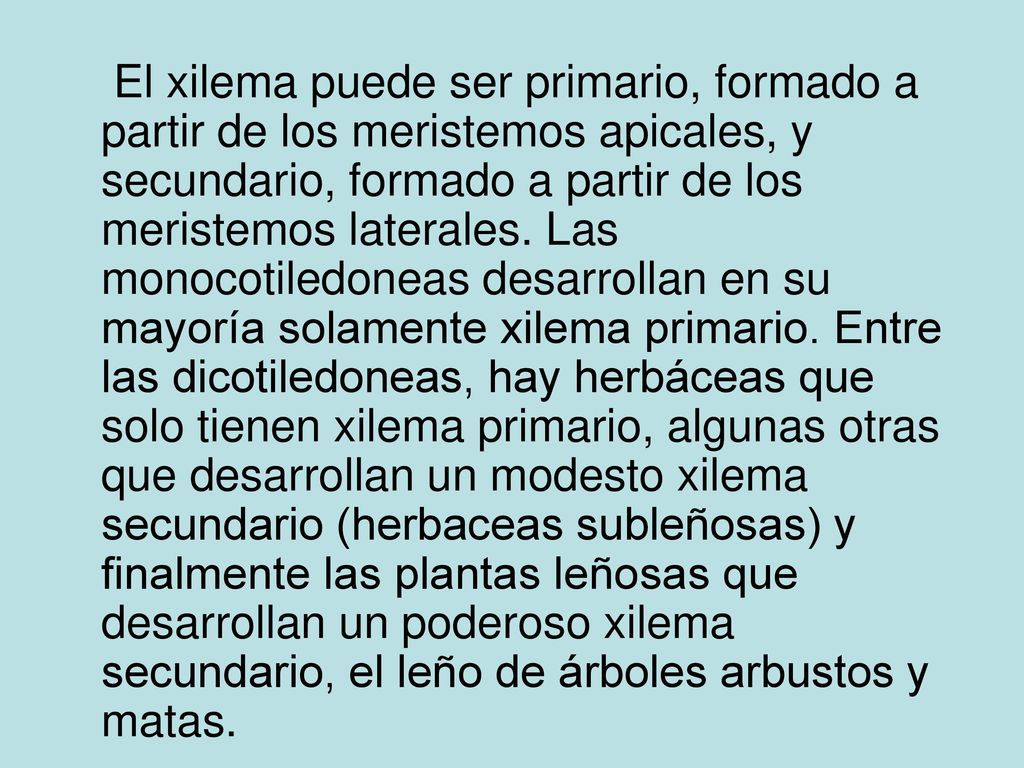El xilema puede ser primario, formado a partir de los meristemos apicales, y secundario, formado a partir de los meristemos laterales.
