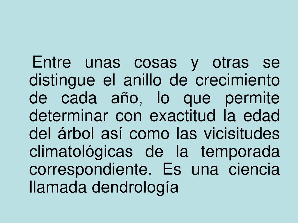 Entre unas cosas y otras se distingue el anillo de crecimiento de cada año, lo que permite determinar con exactitud la edad del árbol así como las vicisitudes climatológicas de la temporada correspondiente.