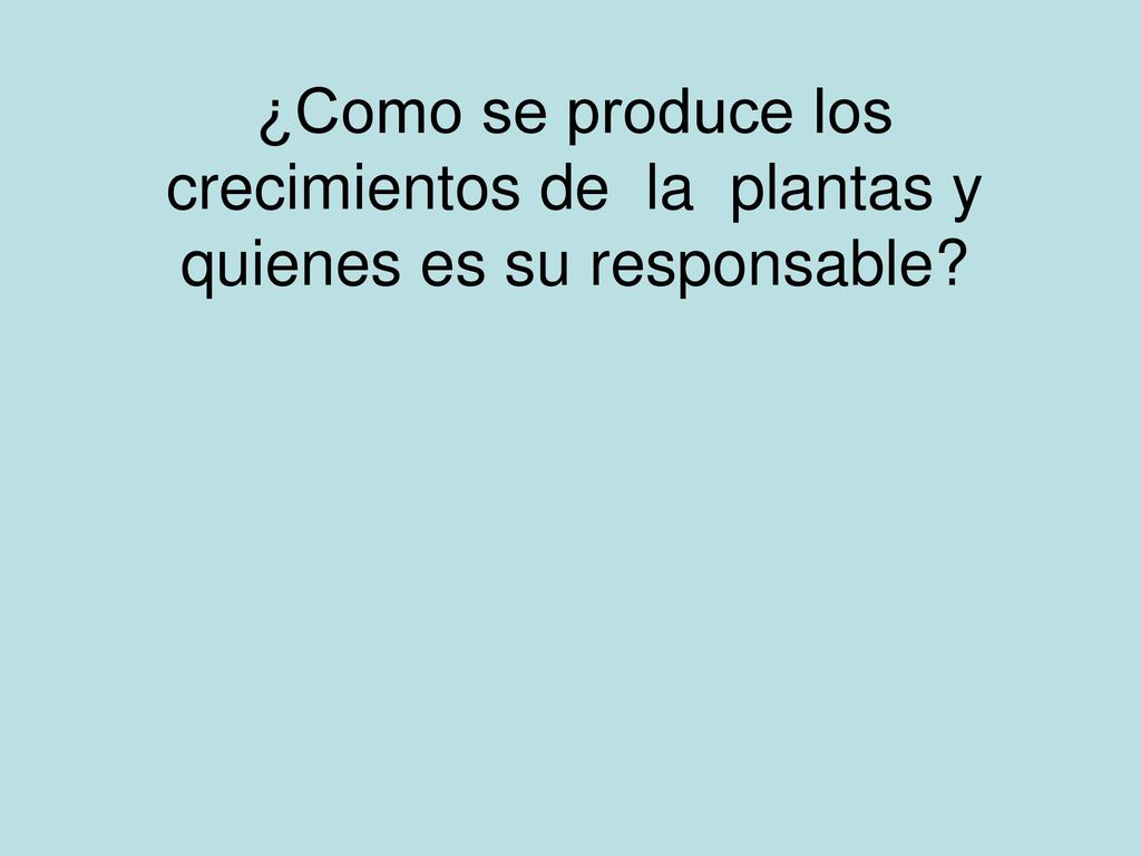 ¿Como se produce los crecimientos de la plantas y quienes es su responsable