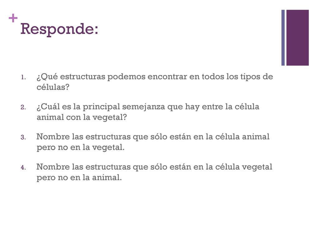 Responde: ¿Qué estructuras podemos encontrar en todos los tipos de células