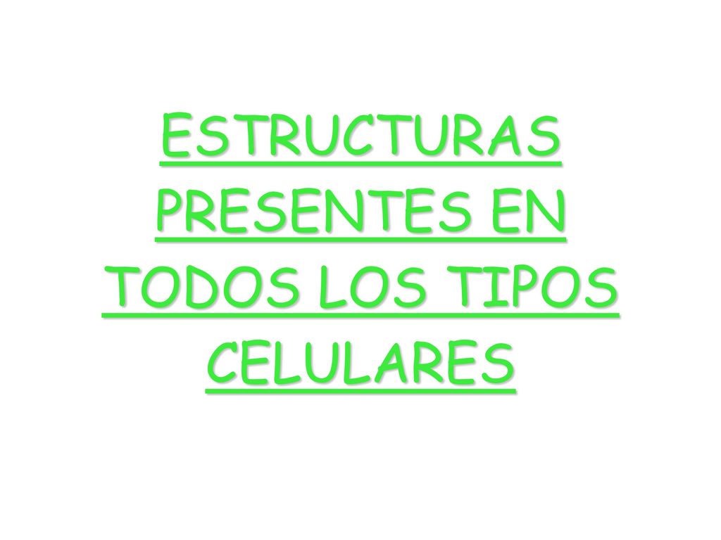 ESTRUCTURAS PRESENTES EN TODOS LOS TIPOS CELULARES