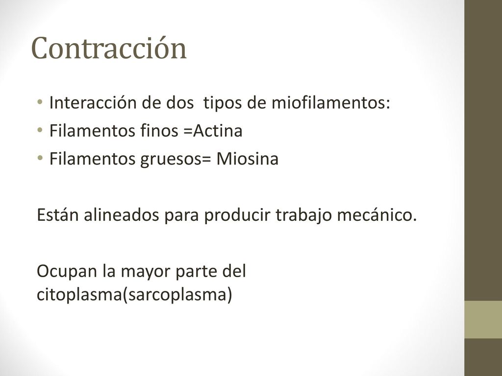 Contracción Interacción de dos tipos de miofilamentos: