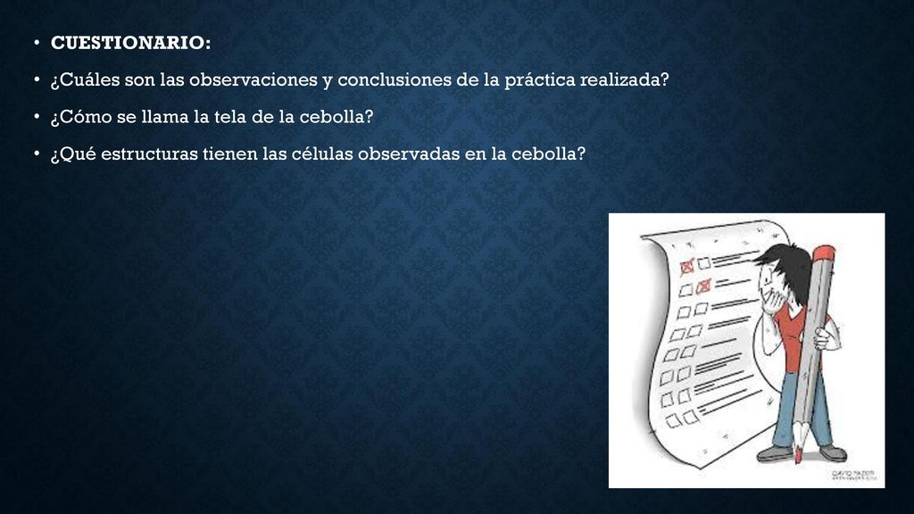 CUESTIONARIO: ¿Cuáles son las observaciones y conclusiones de la práctica realizada ¿Cómo se llama la tela de la cebolla