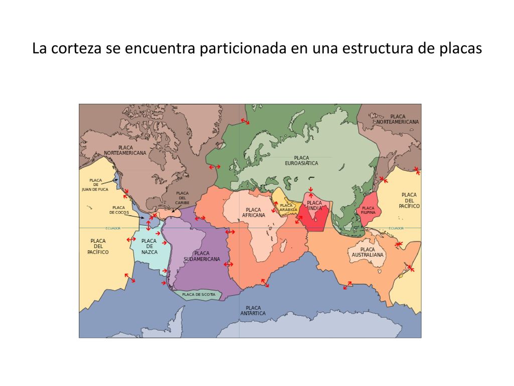La corteza se encuentra particionada en una estructura de placas