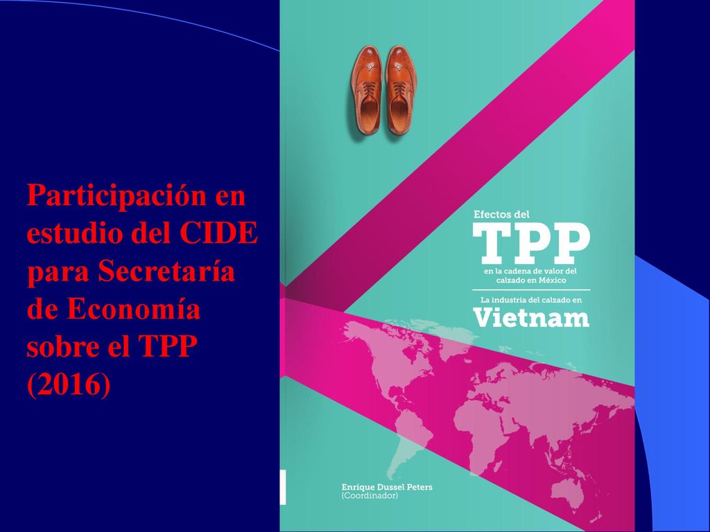 Participación en estudio del CIDE para Secretaría de Economía sobre el TPP (2016)