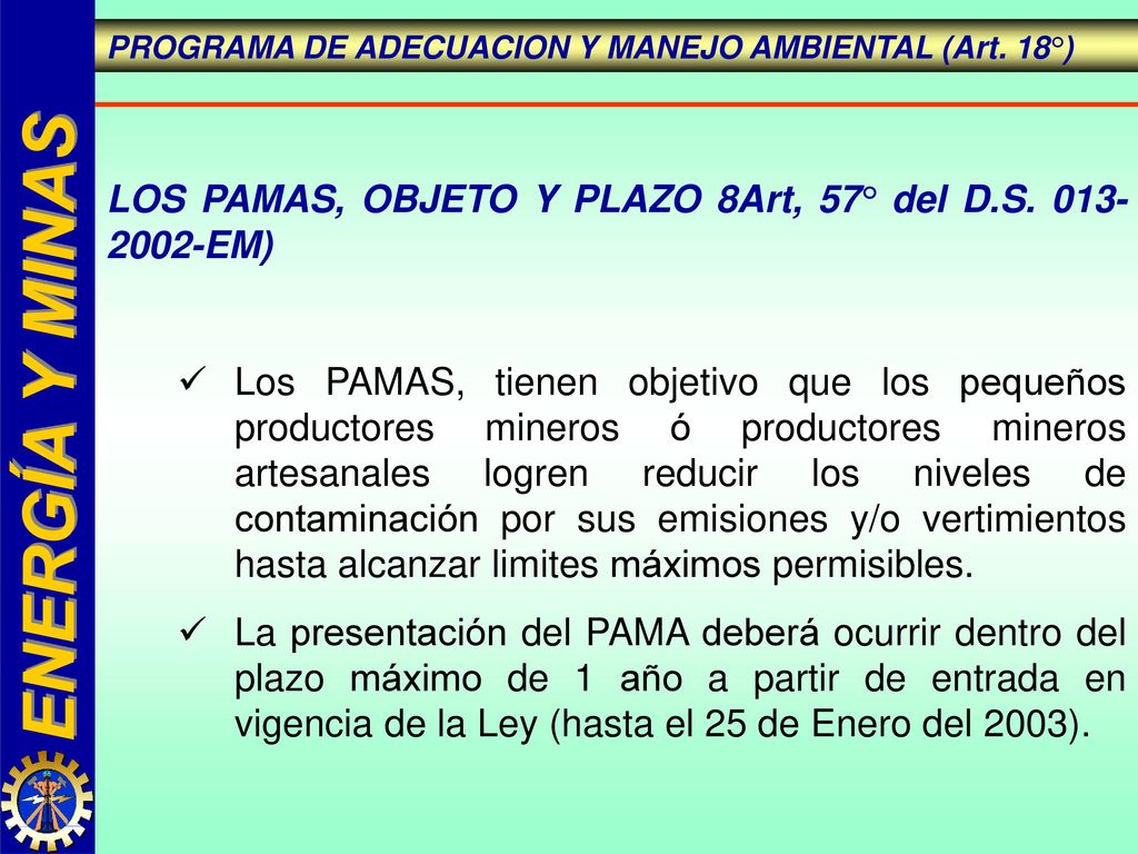 LOS PAMAS, OBJETO Y PLAZO 8Art, 57° del D.S EM)