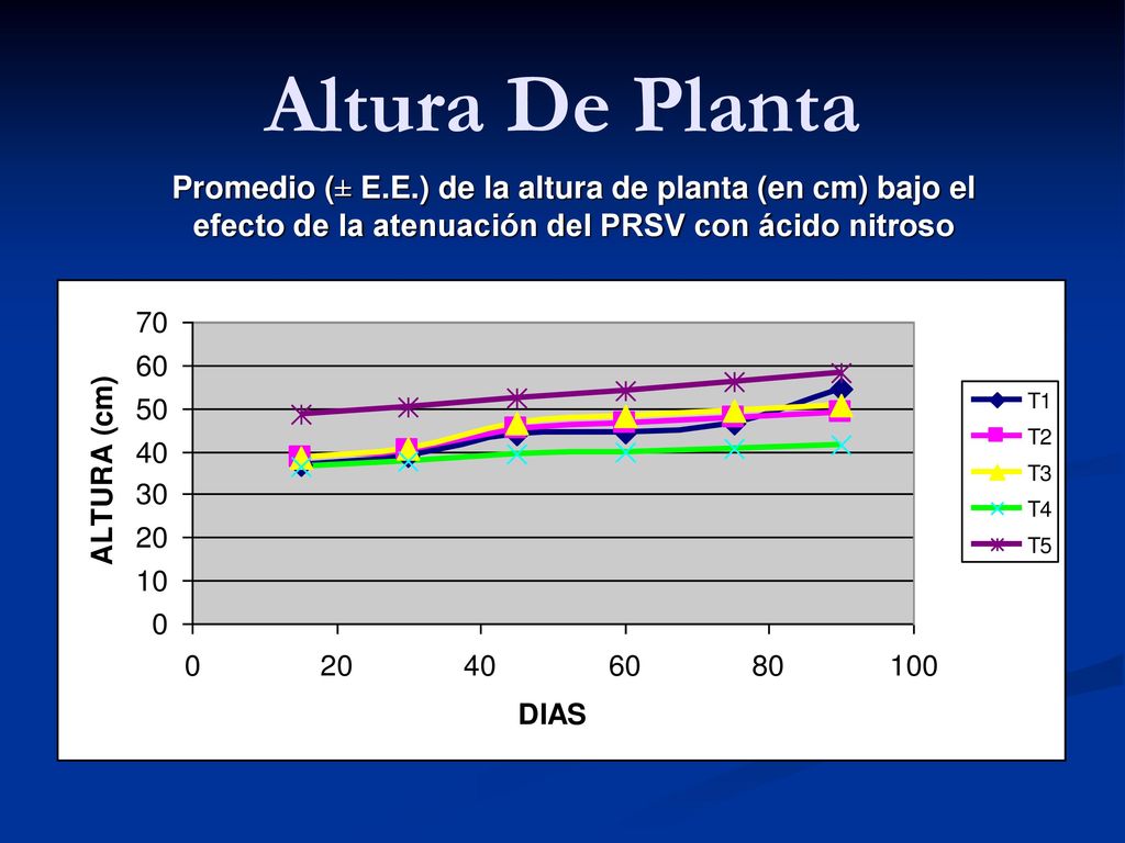 Altura De Planta Promedio (± E.E.) de la altura de planta (en cm) bajo el efecto de la atenuación del PRSV con ácido nitroso.
