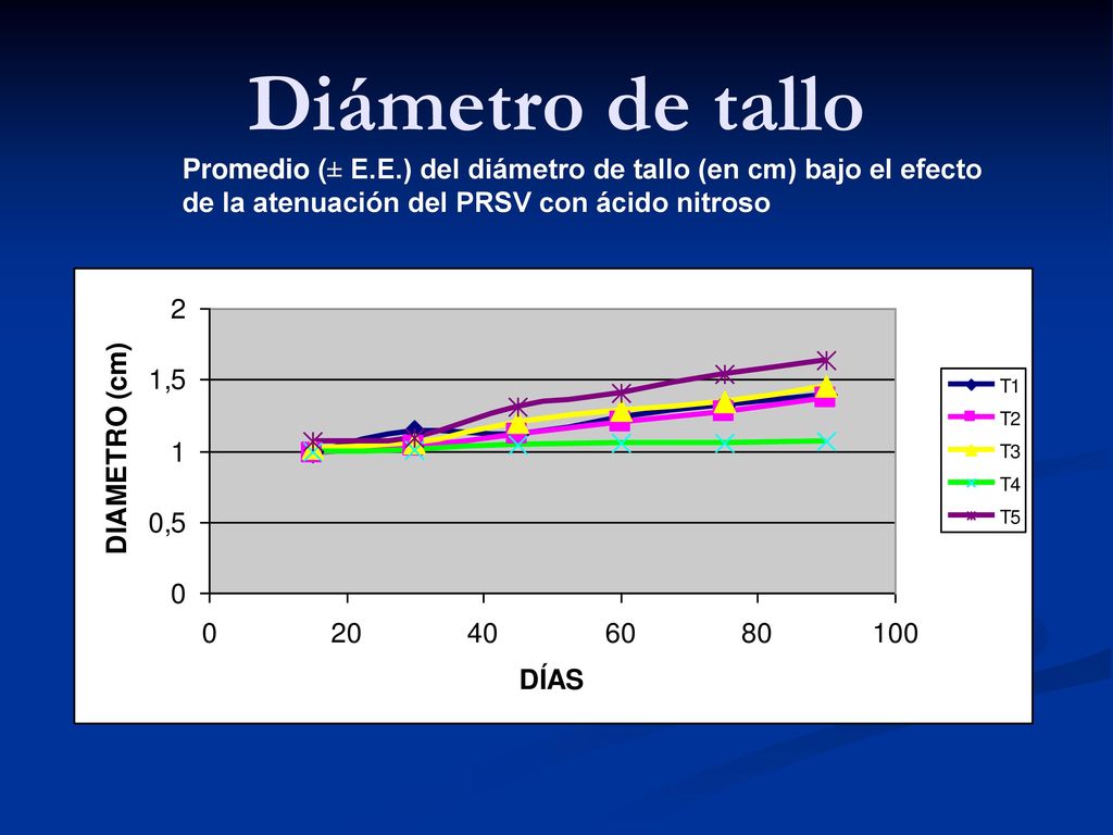 Diámetro de tallo Promedio (± E.E.) del diámetro de tallo (en cm) bajo el efecto de la atenuación del PRSV con ácido nitroso.