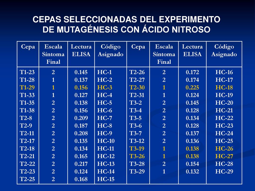 CEPAS SELECCIONADAS DEL EXPERIMENTO DE MUTAGÉNESIS CON ÁCIDO NITROSO