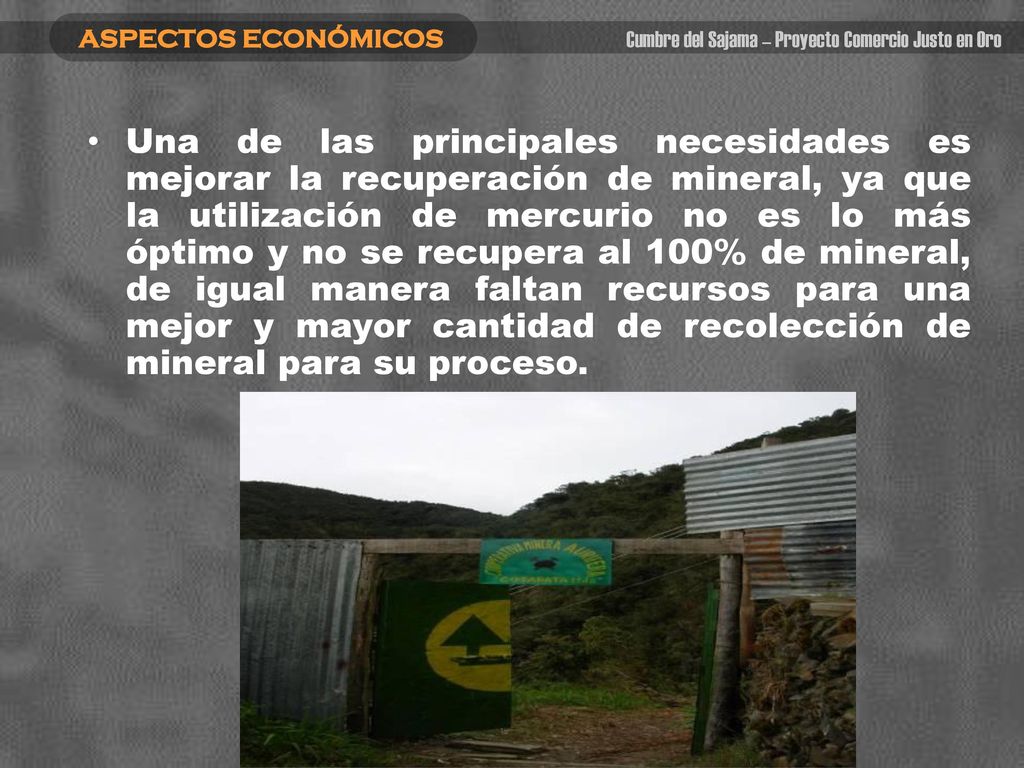 ASPECTOS ECONÓMICOS Cumbre del Sajama – Proyecto Comercio Justo en Oro.