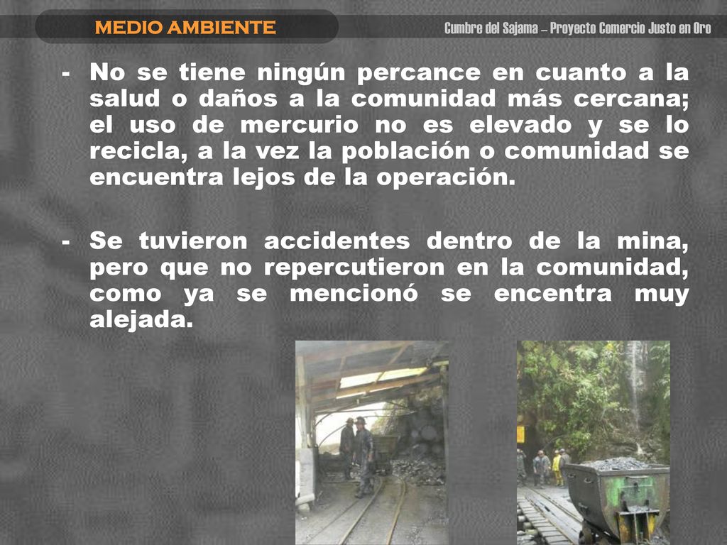 MEDIO AMBIENTE Cumbre del Sajama – Proyecto Comercio Justo en Oro.
