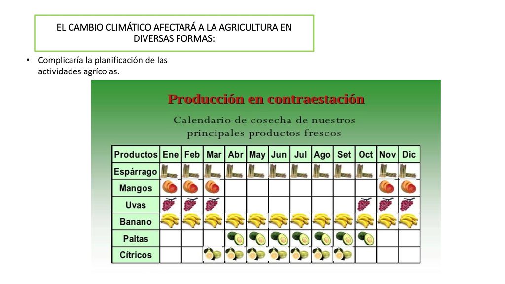 EL CAMBIO CLIMÁTICO AFECTARÁ A LA AGRICULTURA EN DIVERSAS FORMAS:
