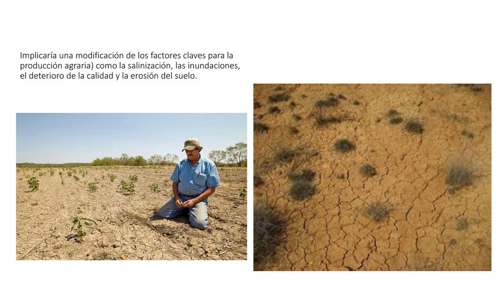 Implicaría una modificación de los factores claves para la producción agraria) como la salinización, las inundaciones, el deterioro de la calidad y la erosión del suelo.