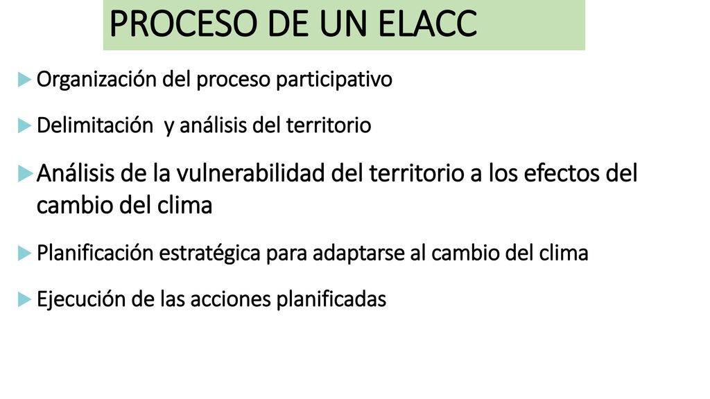 PROCESO DE UN ELACC Organización del proceso participativo. Delimitación y análisis del territorio.