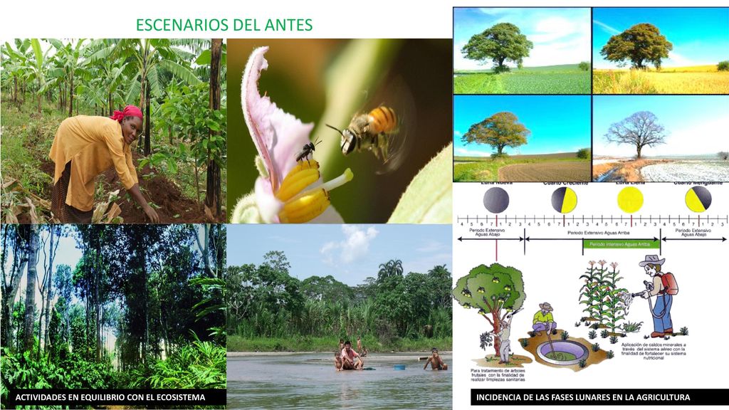 ESCENARIOS DEL ANTES ESTACIONES DEL AÑO BIEN MARCADAS
