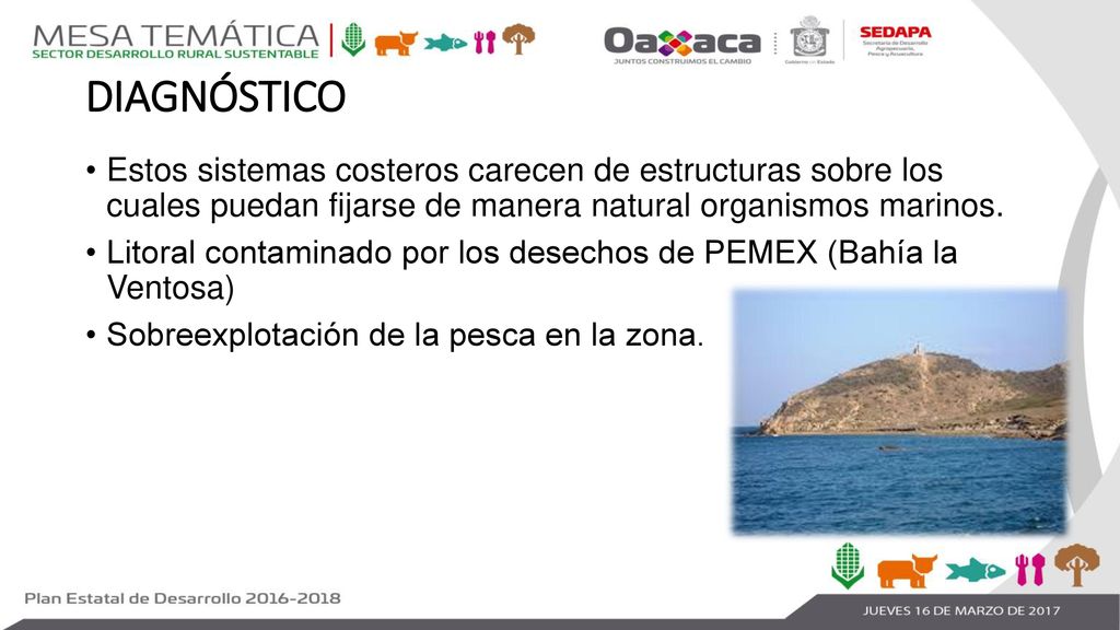 DIAGNÓSTICO Estos sistemas costeros carecen de estructuras sobre los cuales puedan fijarse de manera natural organismos marinos.